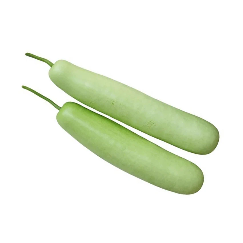 1-2pc Fresh Indian Long Squash (ca. 1.2-1.8kg)