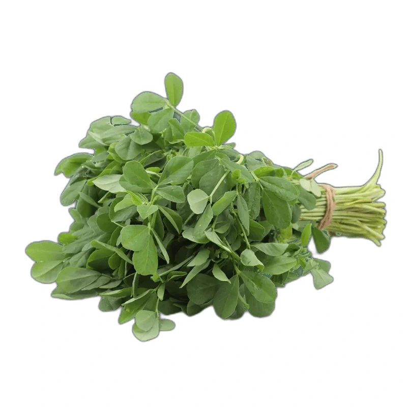 1 Bunch Fresh Curry Leaves ca. 25-40g